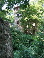 Burgruine Landskron