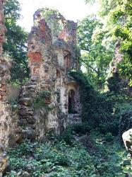 Burgruine Landskron