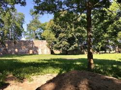 Burgruine Landskron