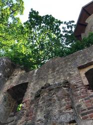 Burgruine Landskron