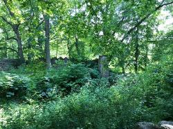 Burgruine Landskron