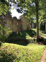 Burgruine Landskron