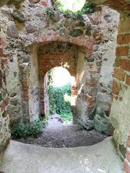 Burgruine Landskron