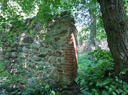 Burgruine Landskron