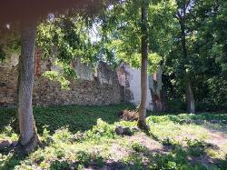 Burgruine Landskron