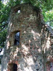 Burgruine Landskron