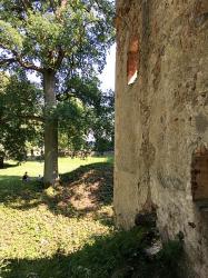 Burgruine Landskron