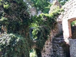 Burgruine Landskron