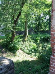 Burgruine Landskron
