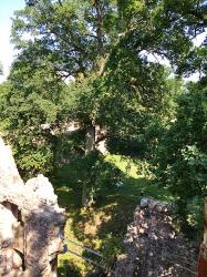 Burgruine Landskron