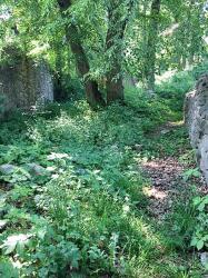 Burgruine Landskron
