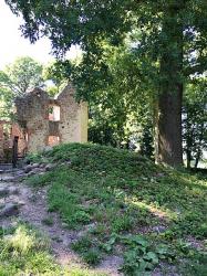 Burgruine Landskron