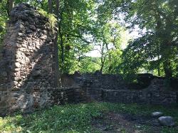 Burgruine Landskron