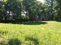 Burgruine Landskron