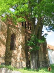 Kloster Chorin_2