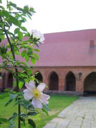Kloster Chorin_9