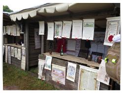 Tannenberg 10 20190221 1729719222 Tannenberg_10