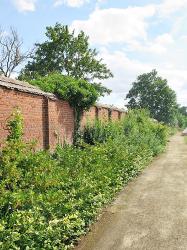 Besuch Des Kloster Jerichow 20160816 1290206457 Besuch des Kloster Jerichow
