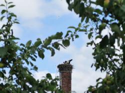 Besuch des Kloster Jerichow
