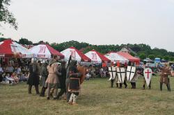 Moryn-Komandoria_Chwarszczany-2016