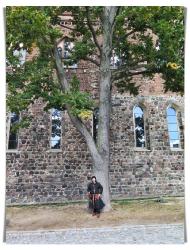 Kloster Angermünde_5
